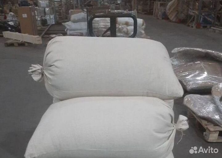 Семена / Лиственница сибирская