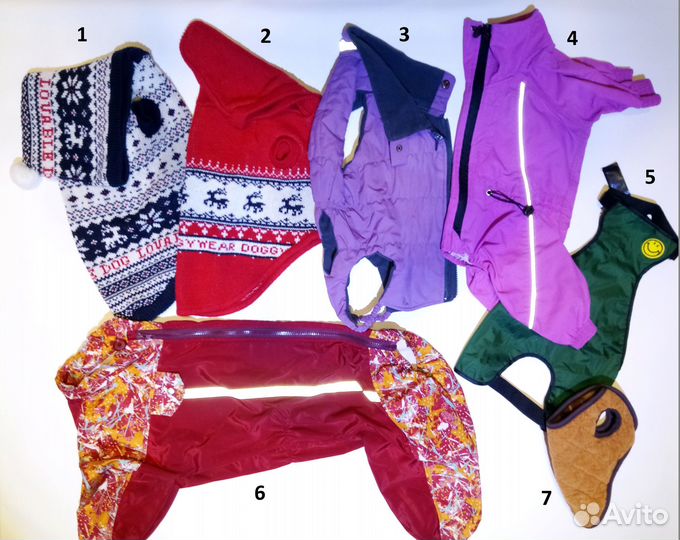 Ошейник, шлейка для собак