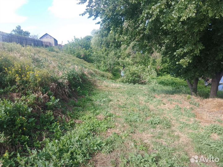 Спил аварийных деревьев, покос травы, вывоз мусора