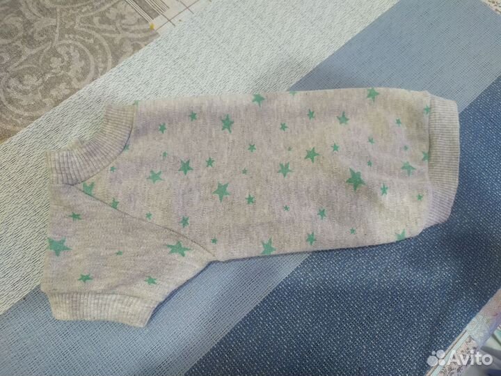 Одежда для собак мелких пород