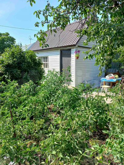 Дача 20 м² на участке 4 сот.