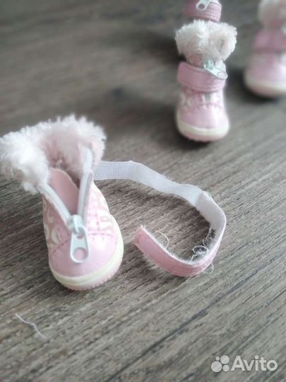 Ботинки собачьи