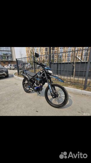 Avantis lx 300