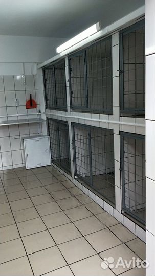 Гостиница/передержка для собак с ветсопровождением