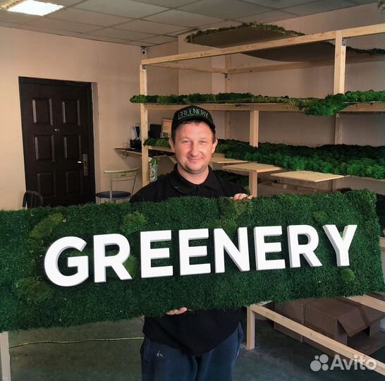 Стена из стабилизированного мха