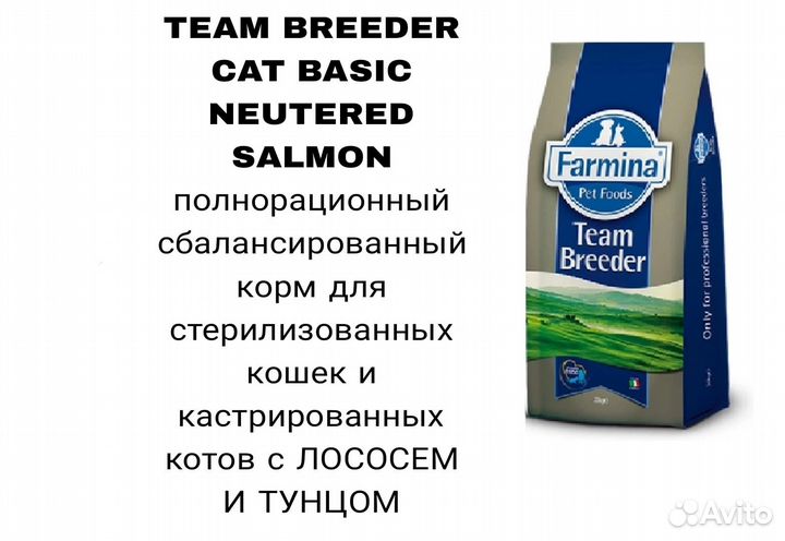 Farmina team breeder top hot sale salmon