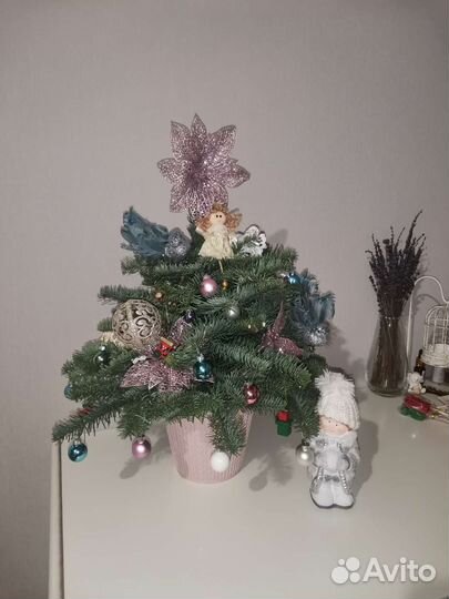 Ель. Новогодняя ёлка. Нобилис