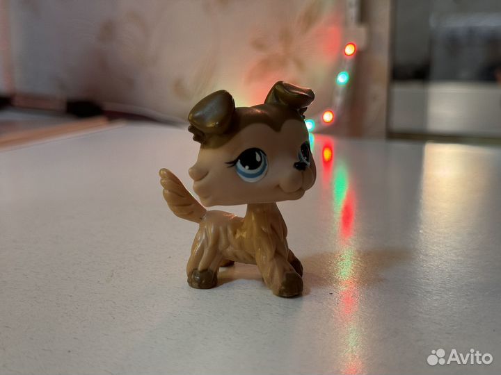 Littlest pet shop