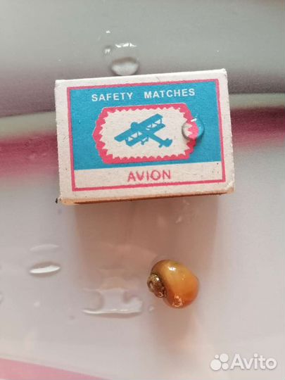 Улитки аквариумные ампулярии