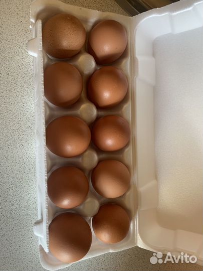 Козье молоко