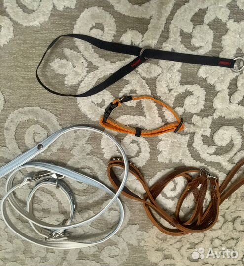 Ошейник поводок ринговка