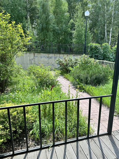 Своб. планировка, 223,1 м², 1/2 эт.