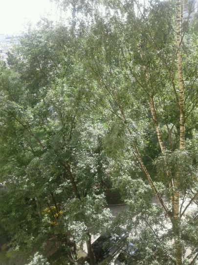 1-к. квартира, 33 м², 7/9 эт.