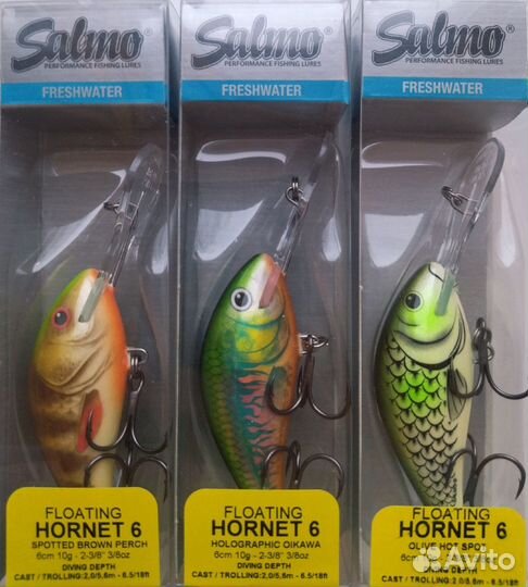 Salmo Hornet 6F - SBP/HOI/OHS
