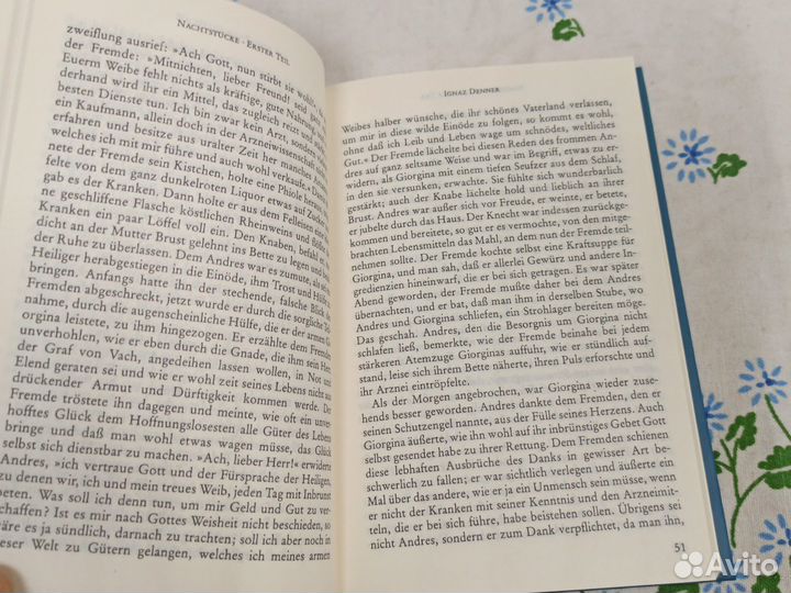 Hoffmann Nachtsucke 2006г