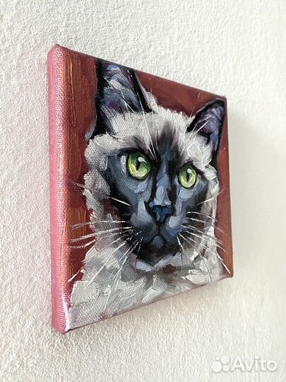 Картина котик кот кошка