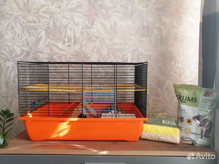 Клетка для грызунов (крыс) + принадлежности