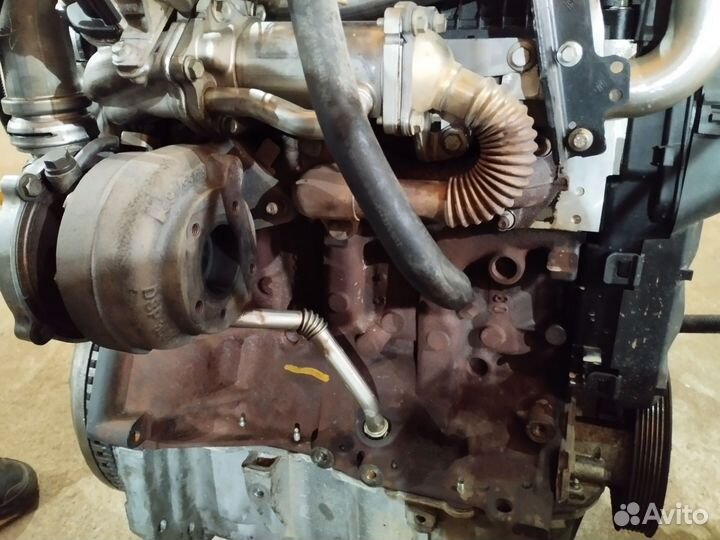 Головка блока Renault k9k 732