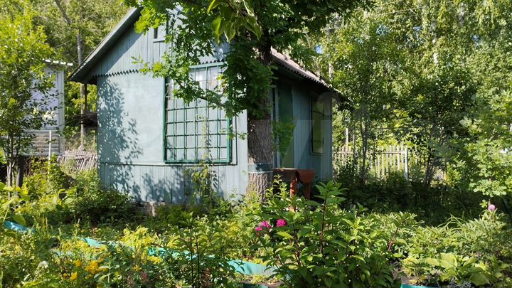 Участок 3 сот. (СНТ, ДНП)