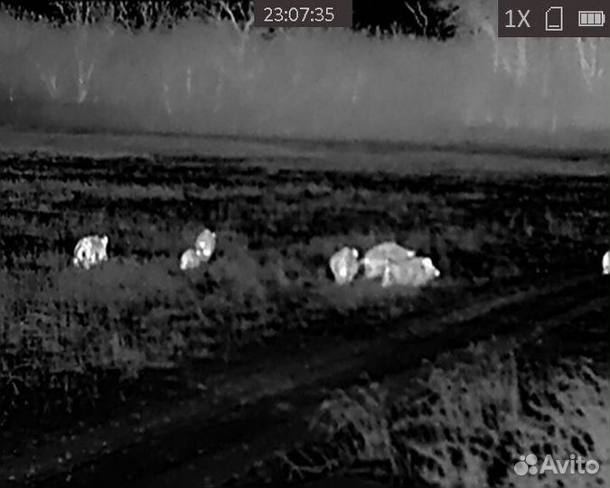 Тепловизионный прицел аркон alpha st 25