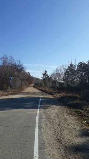 Участок 3,8 га (СНТ, ДНП)