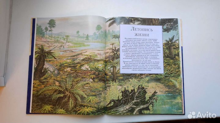 Доисторический мир