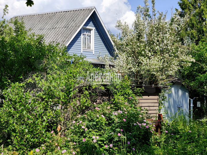 Дача 55 м² на участке 7 сот.