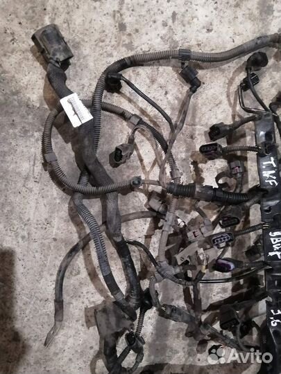 Коса Проводка Двигателя фольксваген туарег NF 3.6
