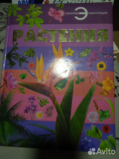 Энциклопедия