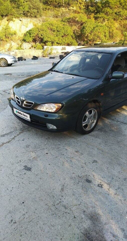Nissan Primera: фото владельца