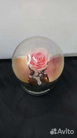 Роза в колбе оптом