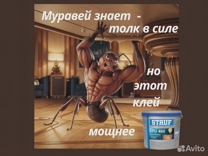 Клей силановый stauf