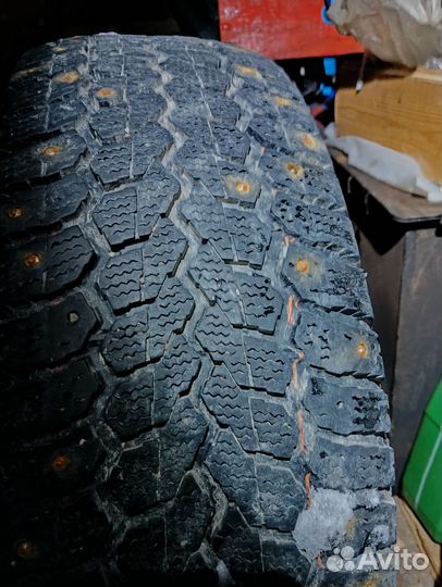 Amtel NordMaster ST 205/65 R15