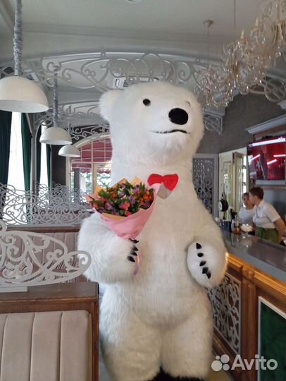 Белый мишка Поздравление