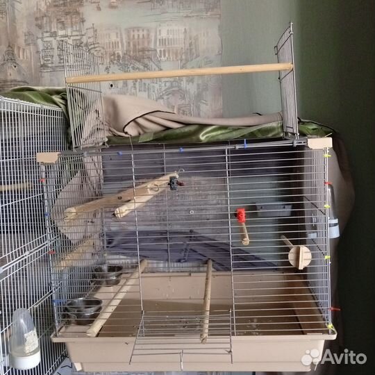 Клетка для попугая