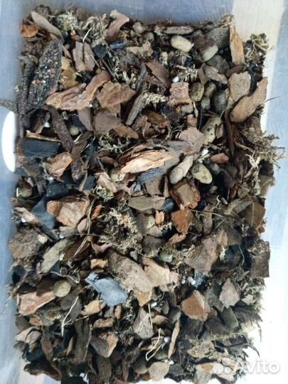 Грунт для орхидей