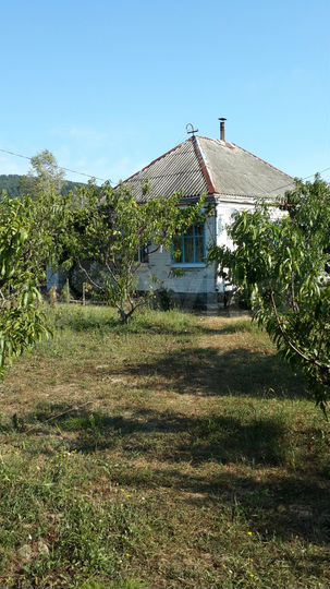 Дом 45 м² на участке 12,3 сот.