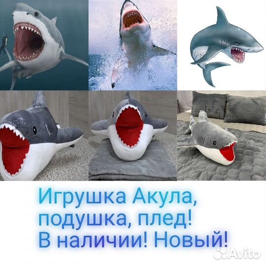 Игрушка с пледом внутри, Акула в наличии