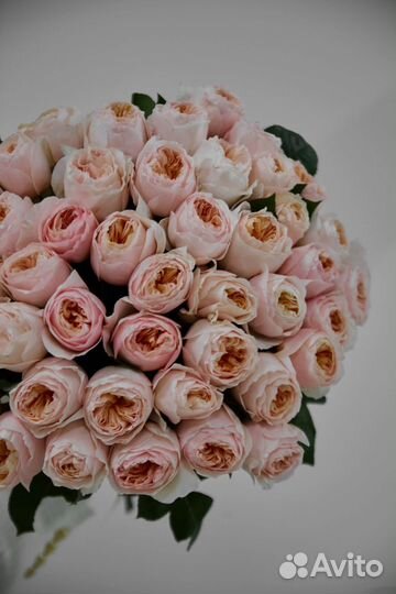 Цветы розы и букеты 101 с доставкой