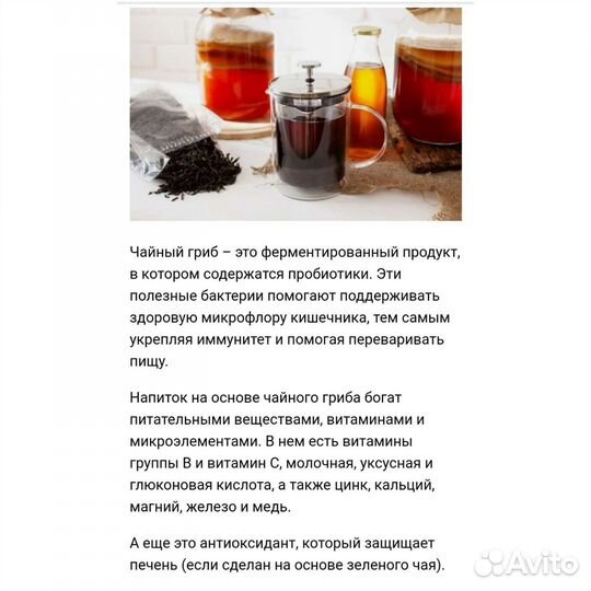 Чайный гриб комбуча