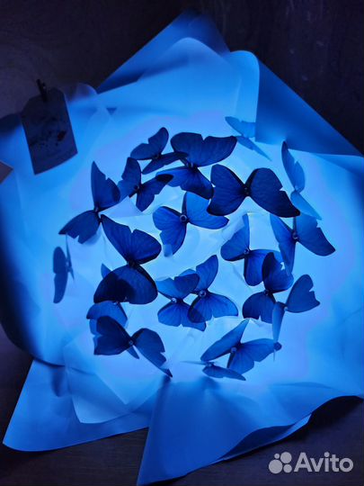Светящийся букет из бабочек. Доставка бесплатно