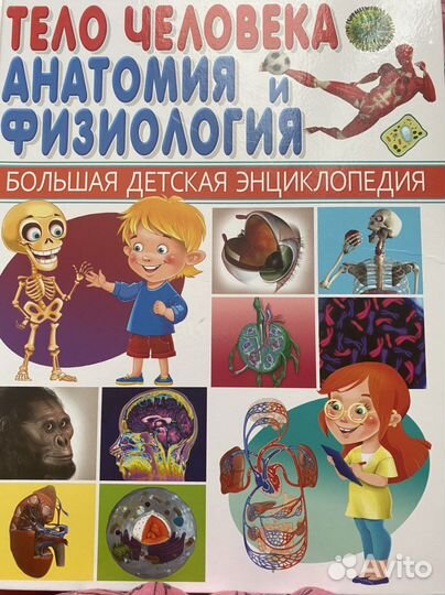 Тело человека.Анатомич и физиология