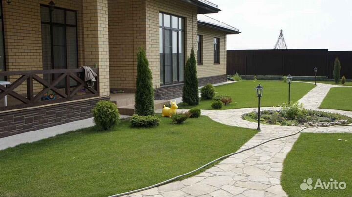 Продажа рулонного газона