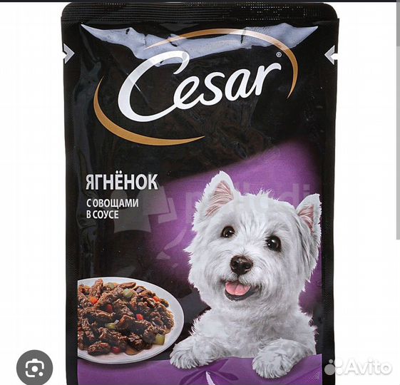 Корм для кошек, корм для собак