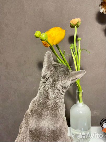 Ваза-бутылка