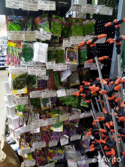 Семена зелени