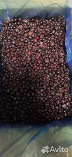 Черника лесная замороженная