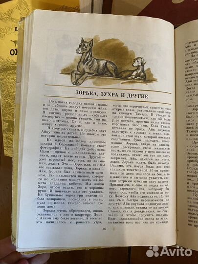 Книги - баководство, диетика, воспитание, охота