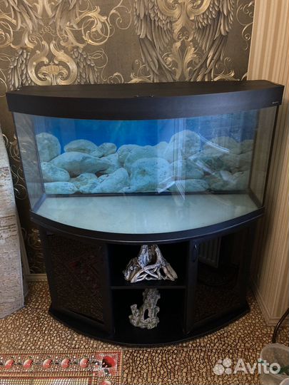 Аквариум aquaplus