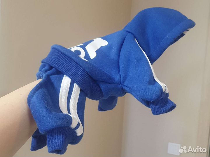 Одежда для маленьких собак